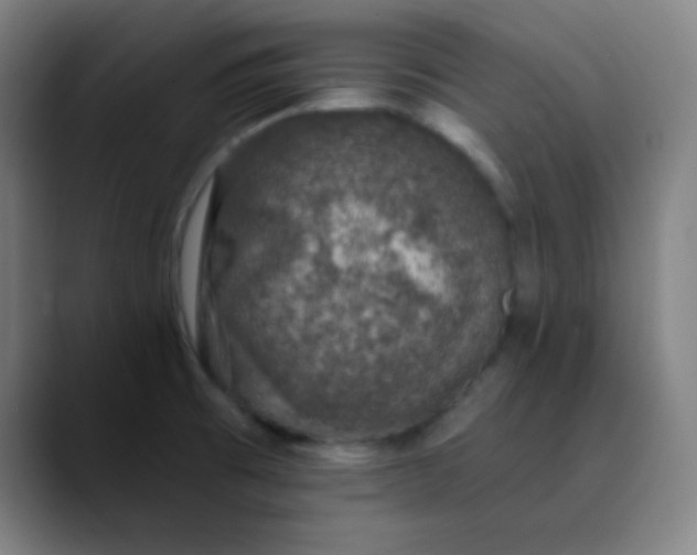 X0000089881473200707121803