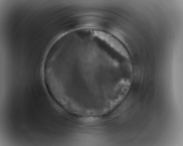 X0000089881474200707121803