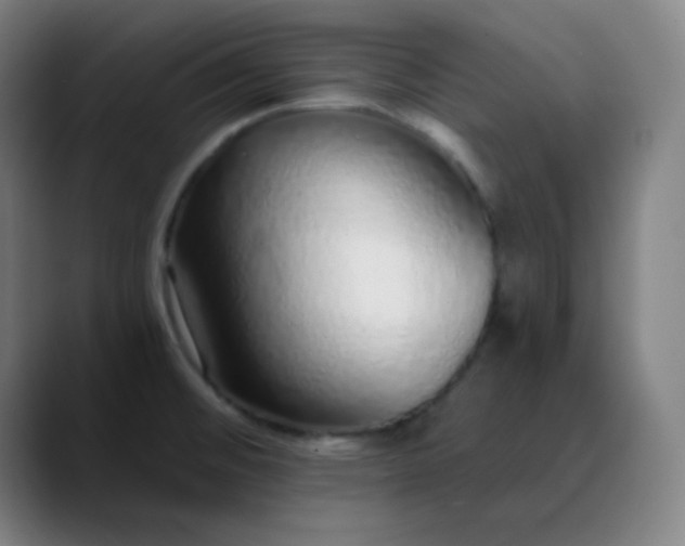 X0000089881476200707121803