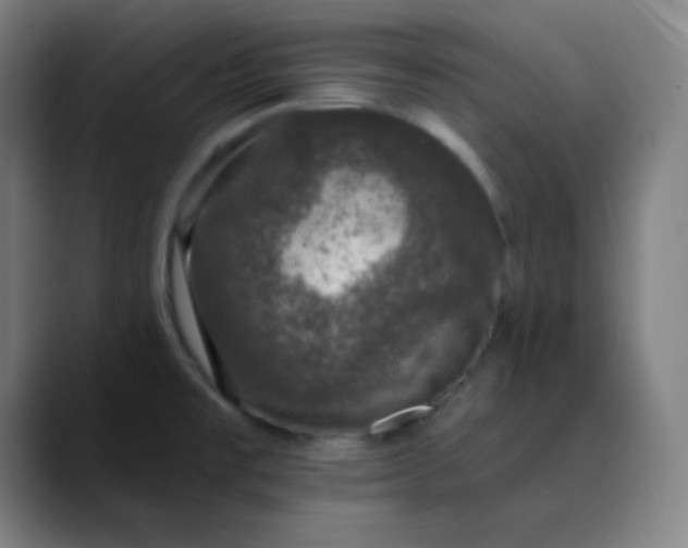 X0000089881477200707121803