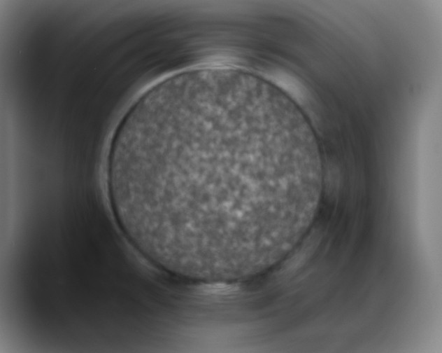 X0000089881478200707121803