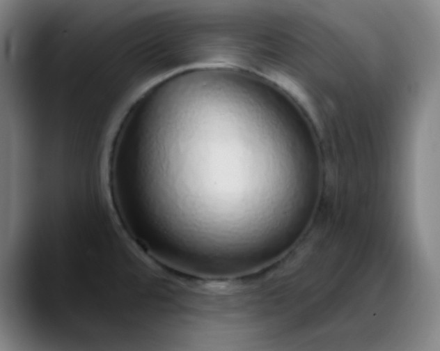 X0000089881480200707121803