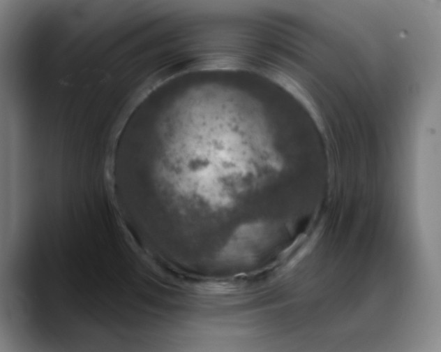 X0000089881481200707121803