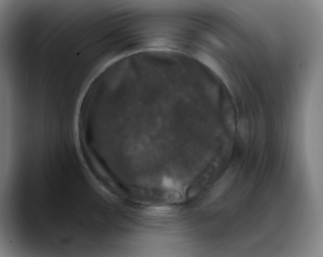 X0000089881482200707121803