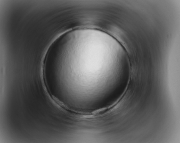 X0000089881484200707121803