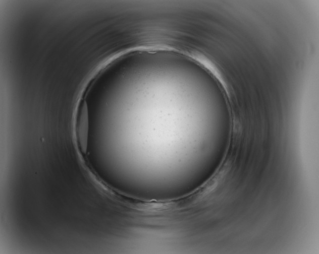 X0000089881485200707121803