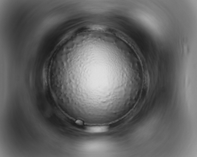 X0000089881487200707121803