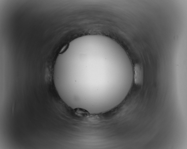 X0000089881491200707121803