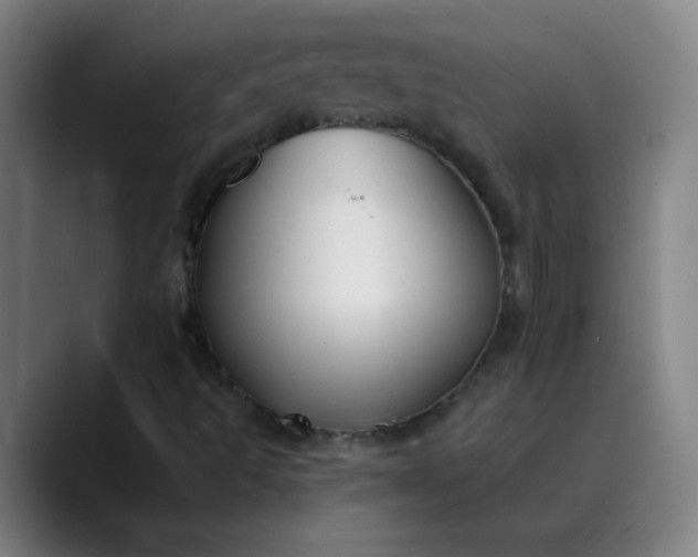 X0000089881493200707121803