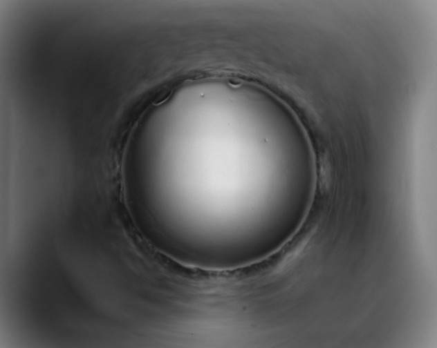 X0000089881494200707121803