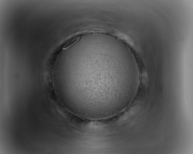 X0000089881496200707121803