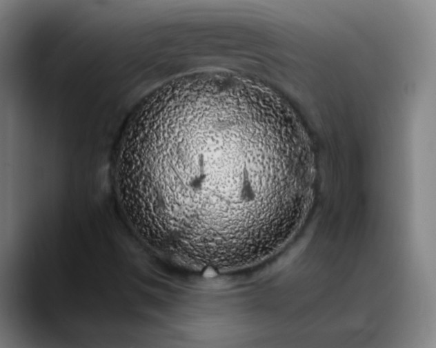 X0000089881497200707121803