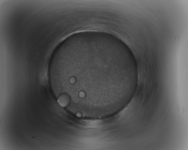 X0000089881498200707121803