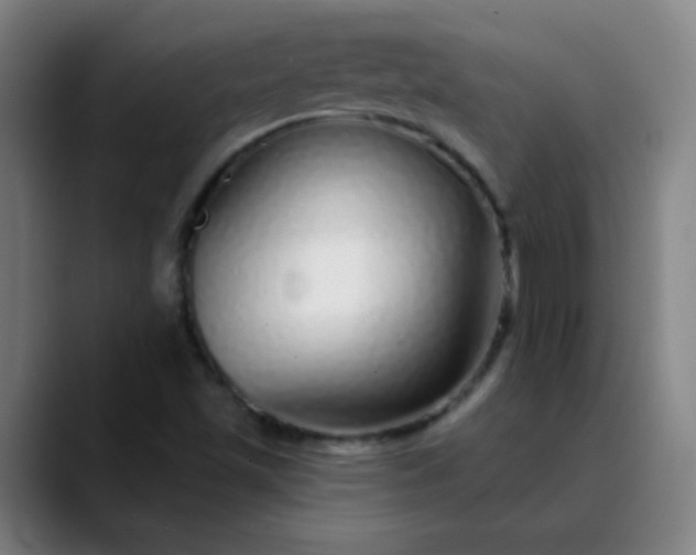 X0000089881501200707121803