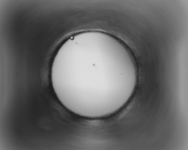 X0000089881502200707121803