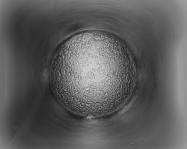 X0000089881505200707121803