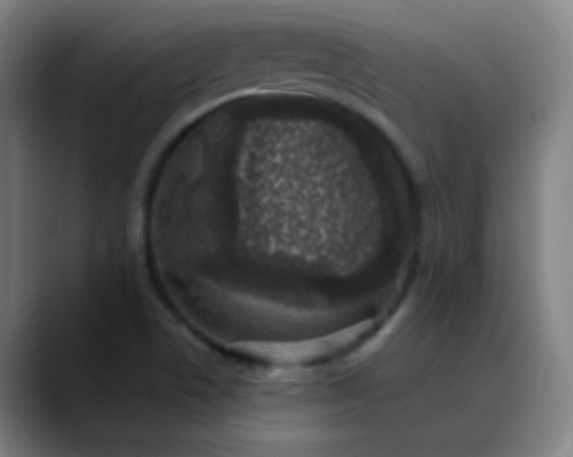 X0000089881506200707121803