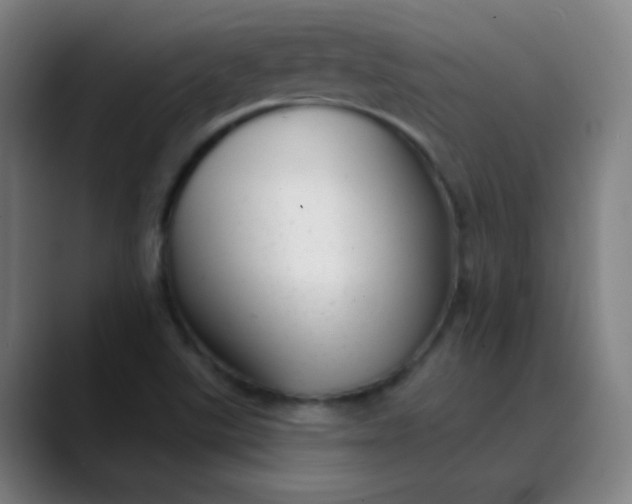 X0000089881507200707121803