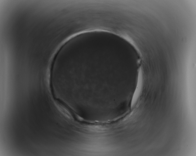 X0000089881508200707121803