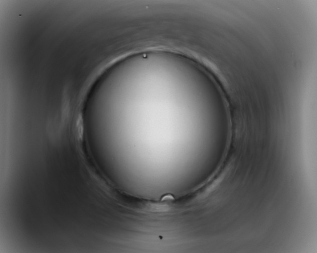 X0000089881509200707121803