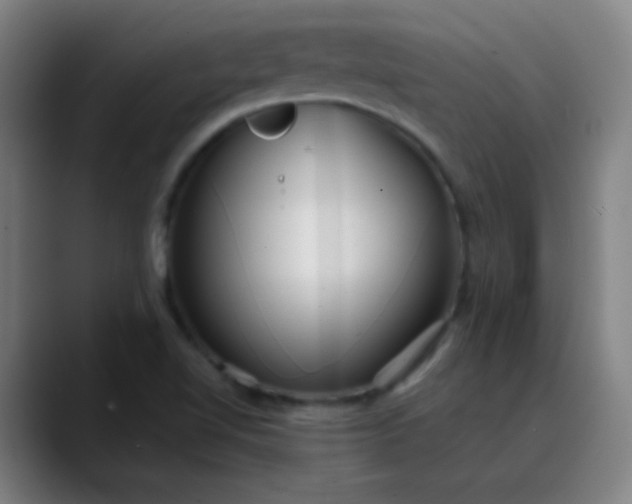 X0000089881510200707121803