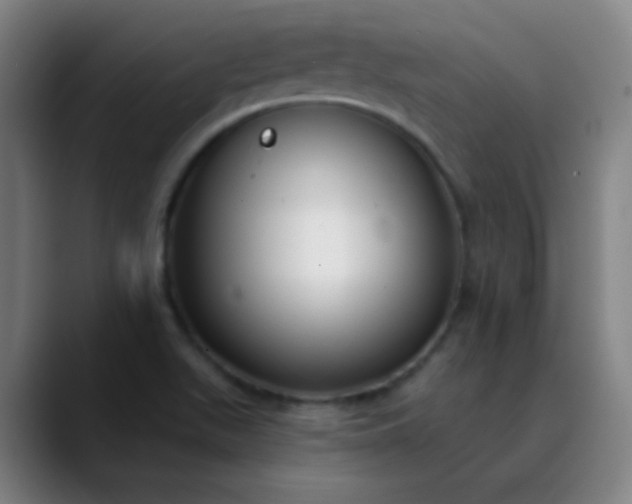 X0000089881511200707121803