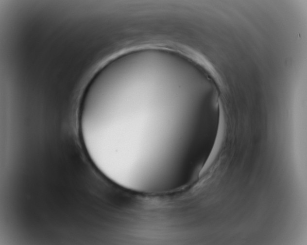 X0000089881512200707121803