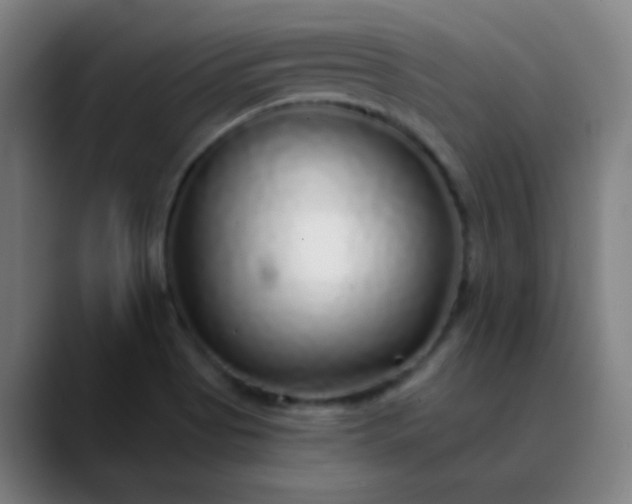 X0000089881513200707121803