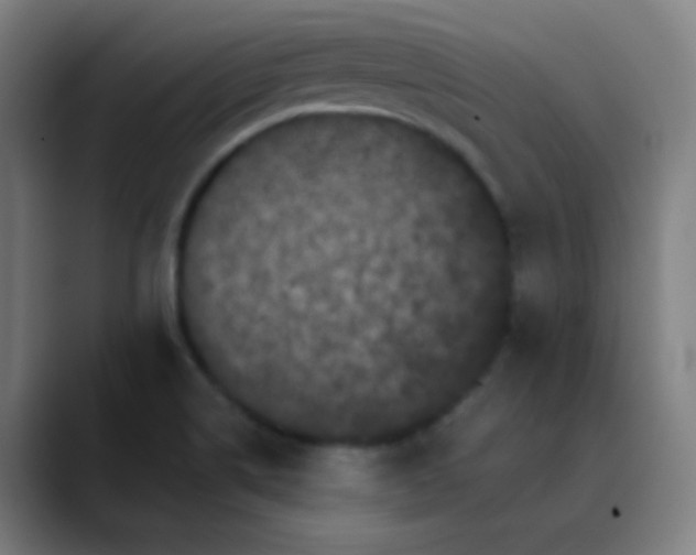 X0000089881514200707121803