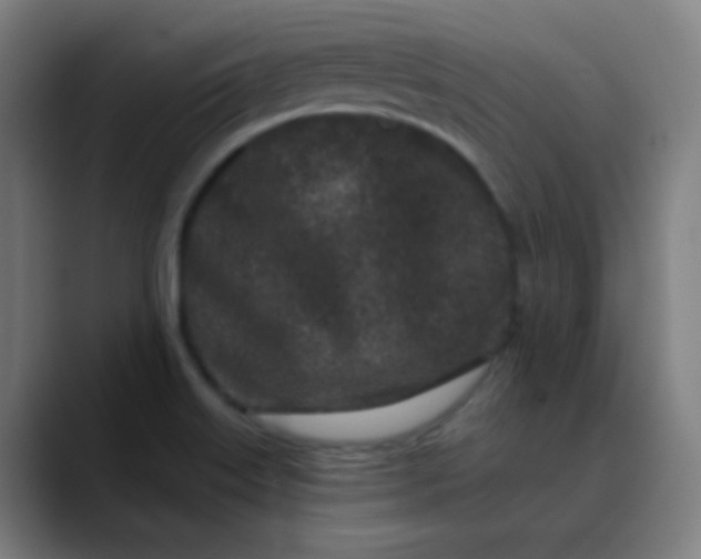 X0000089881515200707121803