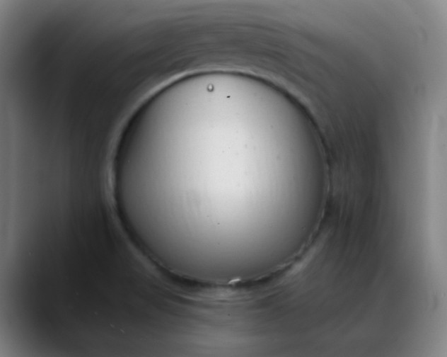 X0000089881517200707121803