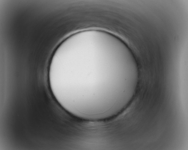 X0000089881518200707121803