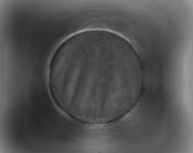 X0000089881519200707121803