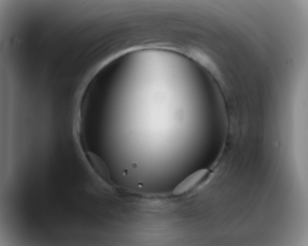 X0000089881520200707121803