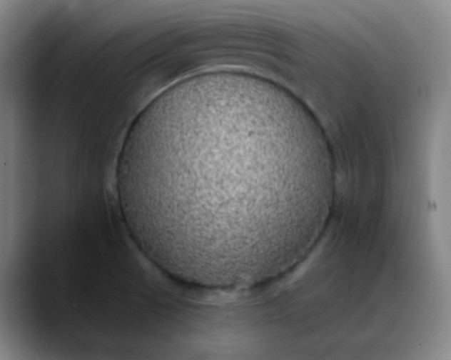 X0000089881521200707121803