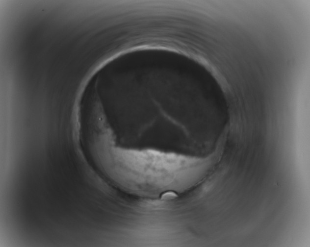 X0000089881522200707121803