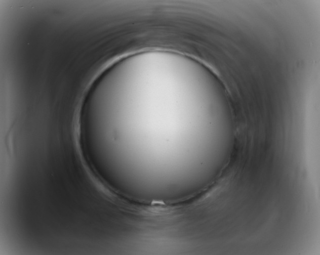 X0000089881523200707121803