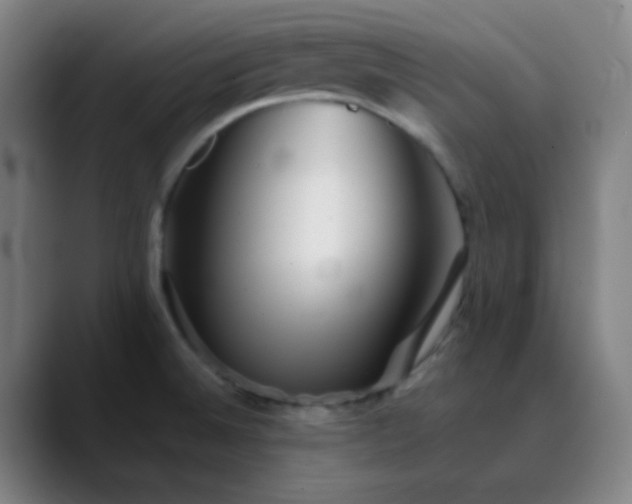 X0000089881524200707121803