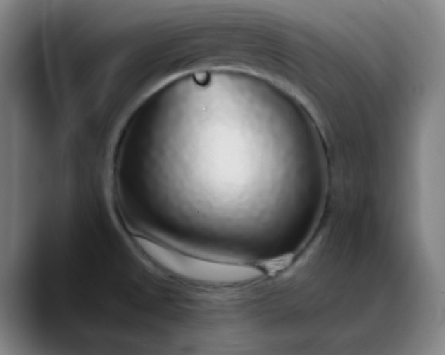 X0000089881525200707121803