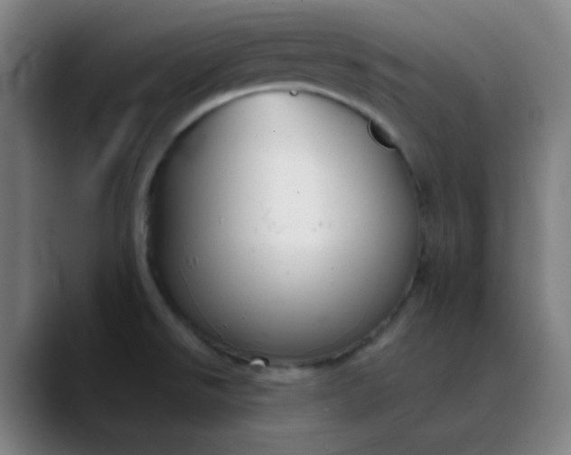 X0000089881526200707121803