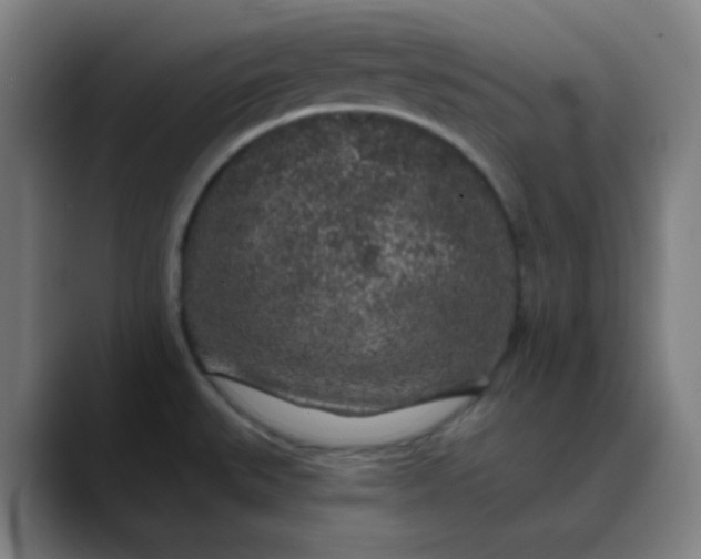 X0000089881527200707121803