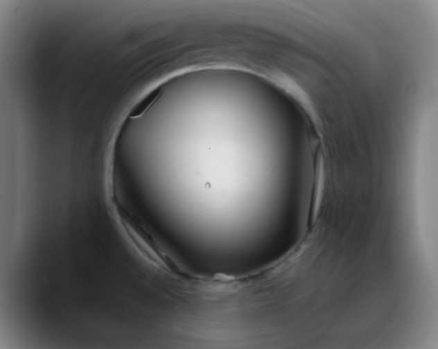 X0000089881528200707121803