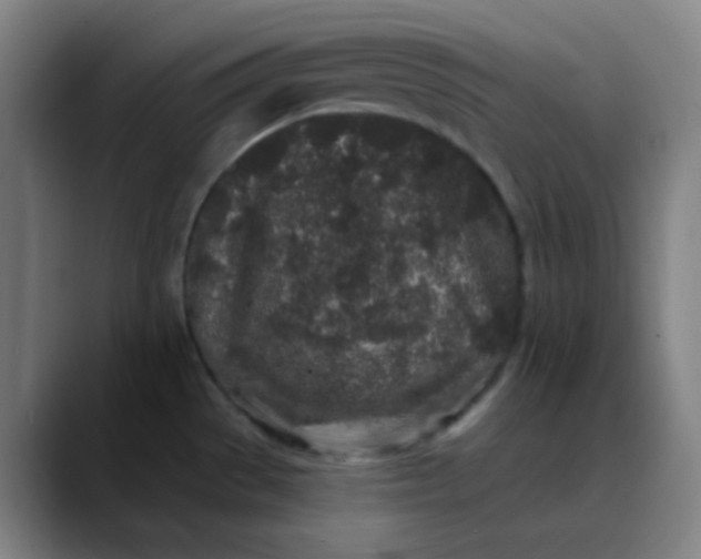 X0000089881529200707121803