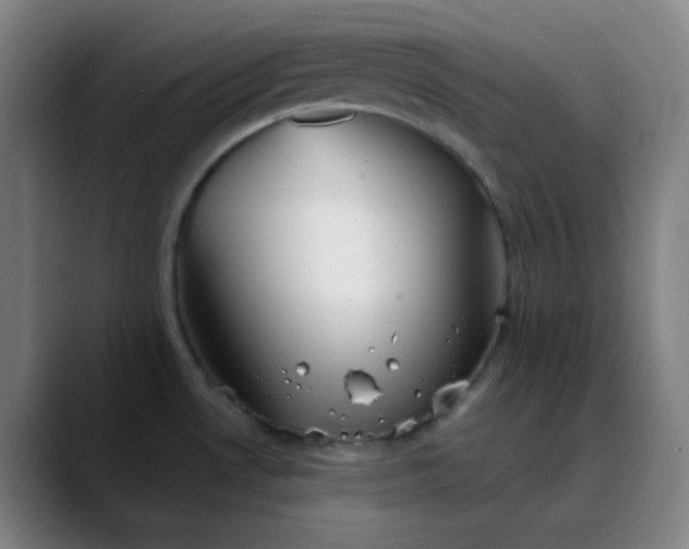 X0000089881530200707121803