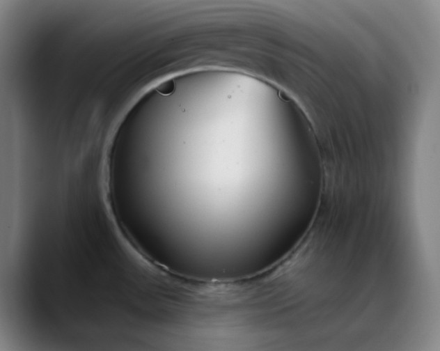 X0000089881531200707121803