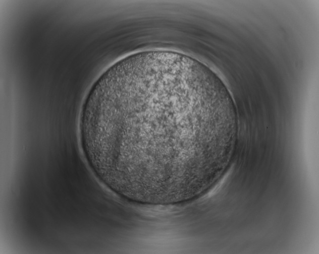 X0000089881533200707121803