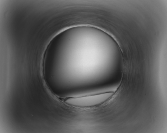 X0000089881534200707121803