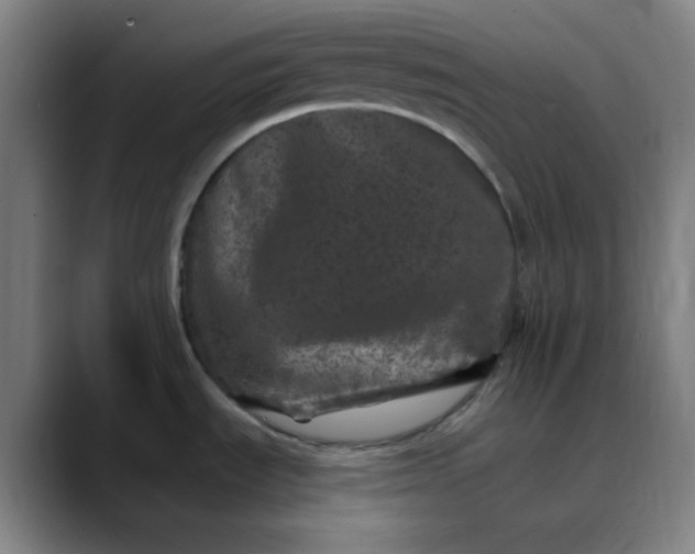 X0000089881535200707121803