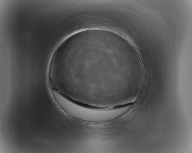 X0000089881536200707121803