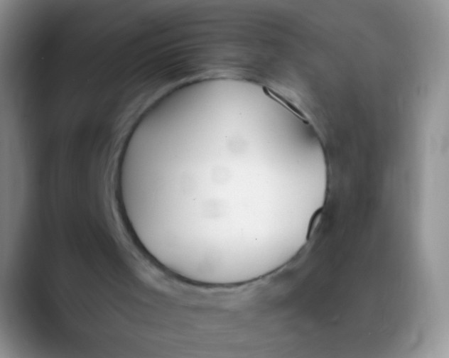 X0000089880001200707192005